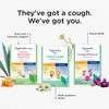 Hyland's Naturals Kids Cough & Mucus Liquid Nighttime Grape - 4 oz Thumbnail Image