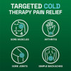 Biofreeze Menthol-Pain Relieving Patches Extra Large - 4 ct Thumbnail Image
