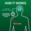 Biofreeze Menthol-Pain Relieving Patches Extra Large - 4 ct Thumbnail Image