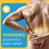 Capsaicin Heat Patch - 2 ct Thumbnail Image