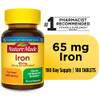Nature Made Iron 65 mg Dietary Supplement - 180 Tablets