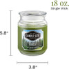 Terrace Jar Candle, Balsam Forest - 18 oz