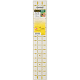 Omnigrid Ruler with Gridlines and Angles - 3 x 18"