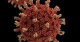 Everything You Need to Know About the Coronavirus