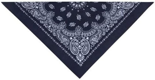 Bandanna-Paisley, Navy, 22"X22" - 1 Pkg