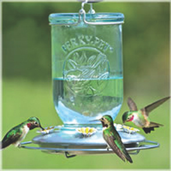Mason Jar Glass Hummingbird Feeder - Blue, 32 oz