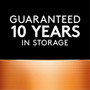 Duracell Coppertop D Alkaline Batteries - 2 pk