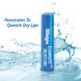 Blistex Complete Moisture Lip Protectant SPF 15 - 12 ct