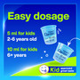 Claritin Children's Allergy Solution Grape Flavor - 4 oz