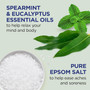 Dr. Teals Eucalyptus Epsom Salt, Eucalyptus, 3# - 1 Pkg
