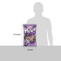 Tootsie Frooties, Grape, 360 Ct