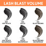 Covergirl LashBlast Volume Waterproof Mascara 830 Black .44 fl oz