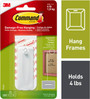 Command Sawtooth Adhesive Picture Hanger, White - 1 Pkg