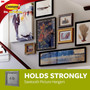 Command Sawtooth Adhesive Picture Hanger, White - 1 Pkg