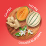 Calgon Body Mist/Spray, Hawaiian Ginger, 8 oz - 1 Pkg
