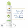 Dove Antiperspirant Dry Spray Cool Essentials - 3.8 oz