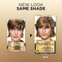L'Oreal Superior Preference - 6-1/2G Lightest Golden Brown (Warmer)