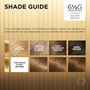 L'Oreal Superior Preference - 6-1/2G Lightest Golden Brown (Warmer)