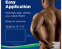 Salonpas Pain Relieving Gel-Patches Hot - 6 Ct.