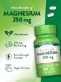 Nature's Truth Magnesium 250 mg Dietary Supplement - 100 Coated Caplets