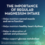 Mag-Ox 400 Magnesium Tablets - 60 ct