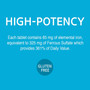 21st Century Iron 65 mg with  Ferrous Sulfate 325 mg - 120 Tablets