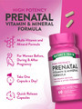 Nature's Truth Prenatal Vitamin & Mineral Formula - 60 Quick Release Capsules