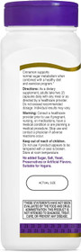 21st Century Cinnamon 1000 mg Vegetarian Capsules - 120 ct