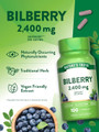Nature's Truth Bilberry 2,400 mg Quick Release Capsules - 100 ct