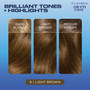 Clairol Nice 'n Easy Permanent Haircolor 6 Light Brown