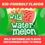 ACT Kids Anticavity Fluoride Rinse Watermelon - 16.9 oz