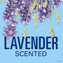 Secret Scent Expressions Invisible Solid Lavender - 2.6 oz