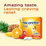 Nicorette Gum 4 mg Fruit Chill - 100 ct