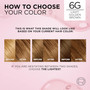 L'Oreal Excellence Triple Protection Permanent Hair Color Creme Light Golden Brown (Warmer)