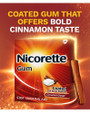 Nicorette Gum 2mg Cinnamon Surge - 100 ct