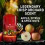 Old Spice Wild Collection Anti-Perspirant & Deodorant Bearglove - 2.6 oz