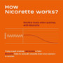 Nicorette Gum 4mg Cinnamon Surge - 100 ct