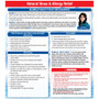 NeilMed Sinus Rinse Regular Kit, 1 each