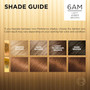 L'Oreal Superior Preference - 6AM Light Amber Brown (Warmer)