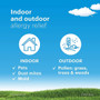 Claritin 24 Hour Indoor & Outdoor Allergy RediTabs - 10 ct