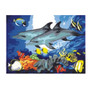 Royal & Langnickel Paint by Number Junior Activity Kit - Dolphins