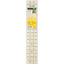 Omnigrid Ruler with Gridlines and Angles - 3 x 18\"
