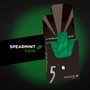 5 Gum Spearmint Rain Sugar Free 15 Piece Gum - 10 Pack Box