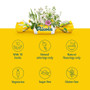 Ricola Sugar Free Herb Throat Drops Lemon Mint - 19 ct