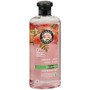 Herbal Essences Smooth Rose Hips Shampoo - 13.5 oz