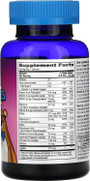 21st Century Zoo Friends Children's Multivitamin Gummies - 60 ct