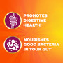 Meta Mucil Fiber Supplement Gummies Orange Flavor - 72 ct