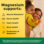 Nature Made High Absorption Magnesium Citrate 200 mg per Serving Gummies Mixed Berry - 60 ct