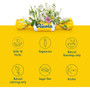 Ricola Sugar Free Throat Drops Original Swiss Herb - 19 ct