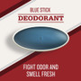 Old Spice High Endurance Deodorant Stick Pure Sport Scent - 6 oz